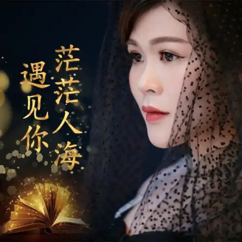 梅姐姐茫茫人海遇见你demo