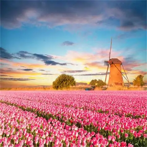 给人一种阳光的头像 高清好看充满阳光朝气的微信头像图片_微信头像