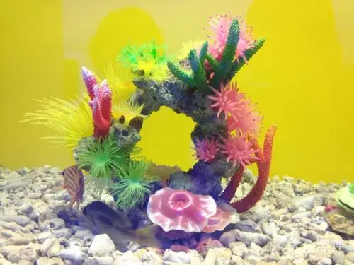 南太湖海洋公园图片 - 第15张