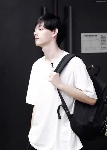 中日韩小熊差异,都好适合啊,百变小熊