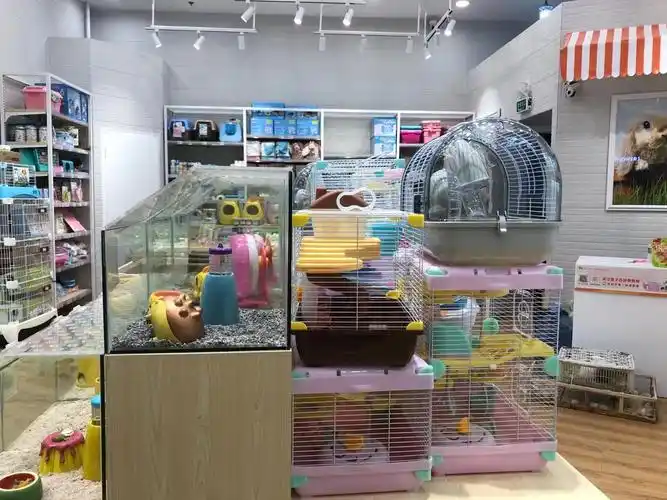 深圳购物中心宠物零售汇总 看他们如何打造"萌宠经济"