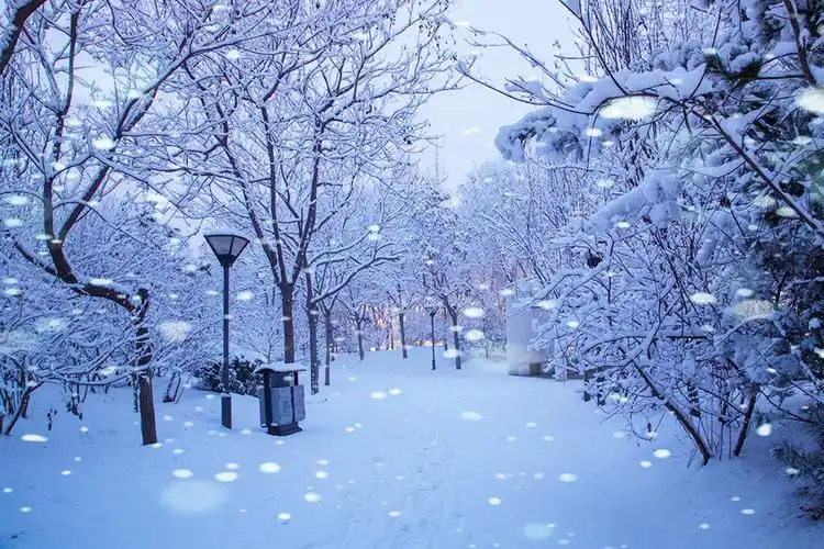 其它 城市雪景 写美篇            2020年1月5日傍晚8.