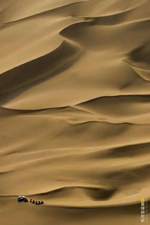 摄影师|塔克拉玛干|沙漠_新浪新闻