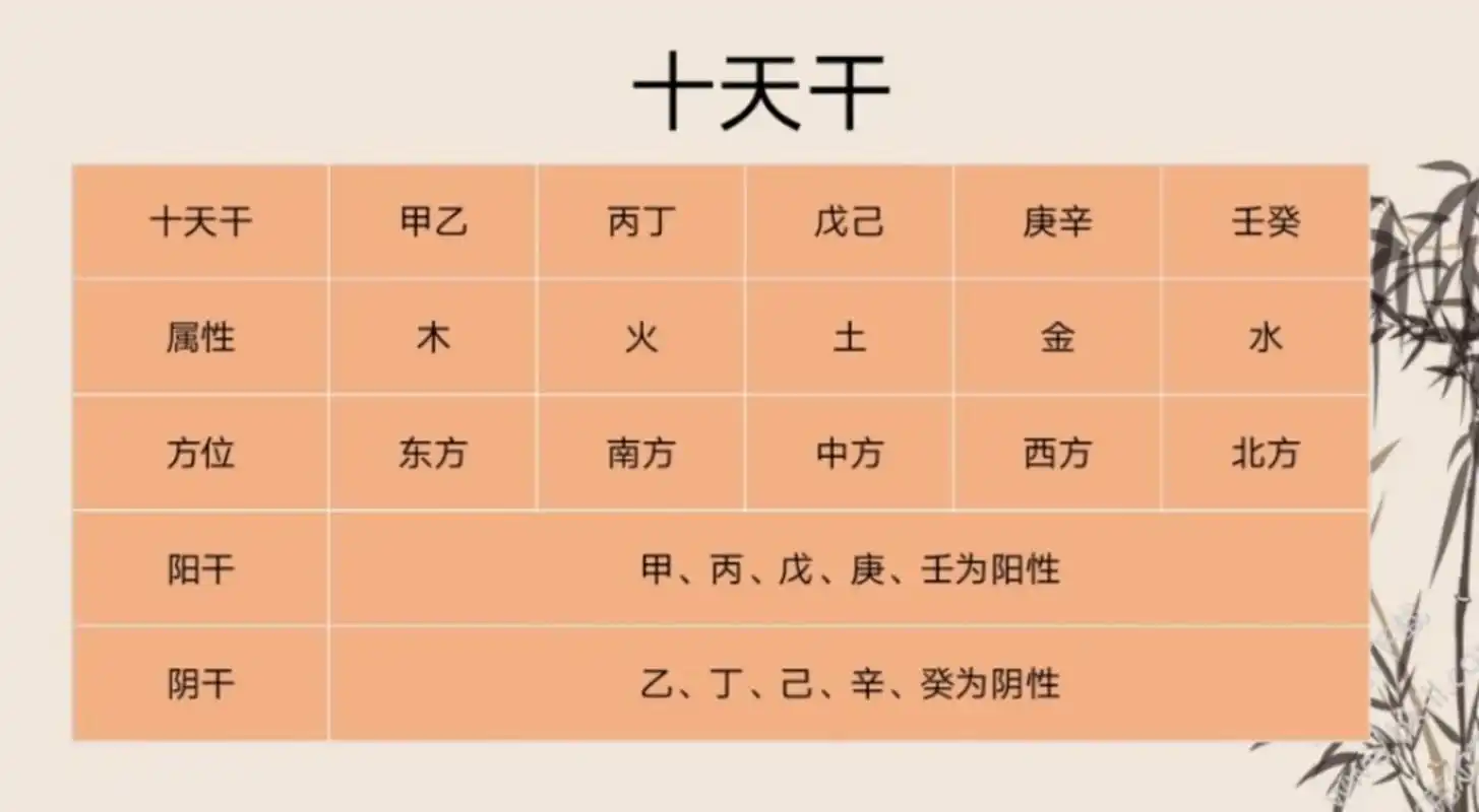 说人话:十天干和十二地支 十天干和十二地支是夏历中用来编排年号和