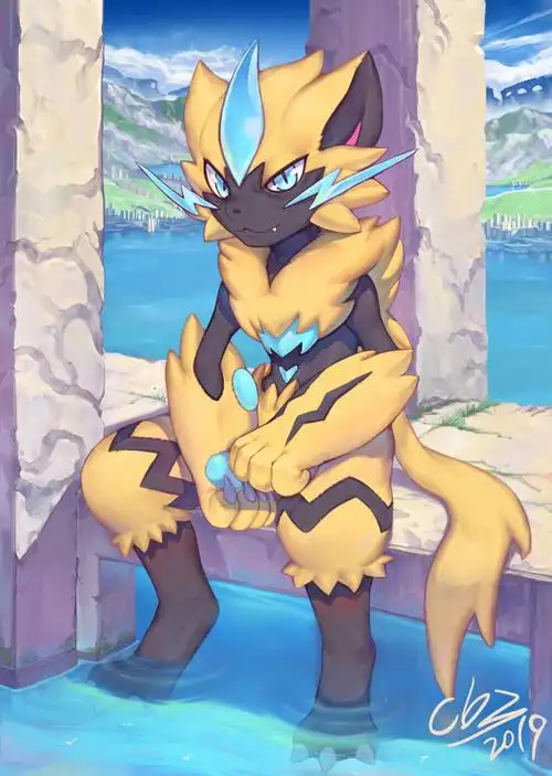 神奇宝贝口袋妖怪精灵宝可梦