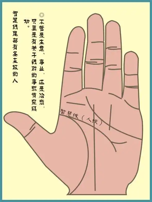 智慧线有尾叉好不好