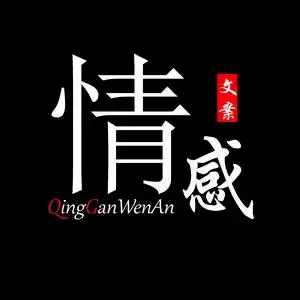 暖风·情感音乐头像