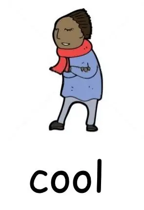 cool [ku:l] 凉爽的