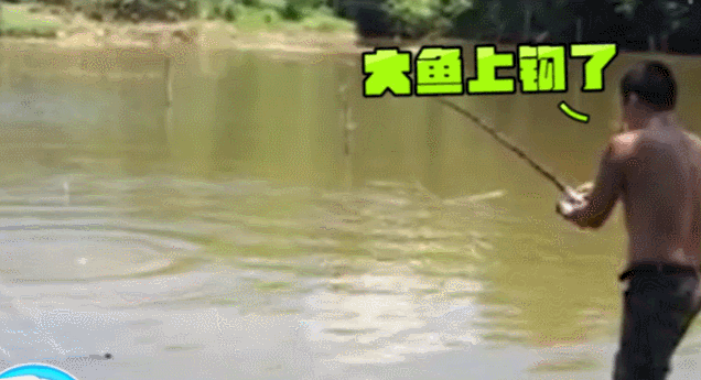 男子河边钓鱼游泳gif动图_动态图_表情包下载_soogif