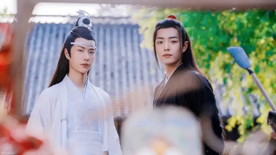 陈情令忘羡.肖战.王一博