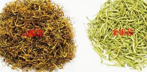 美容功效:常以金银花当作茶饮用,能调节女性内分泌,祛黄及色斑,令容颜