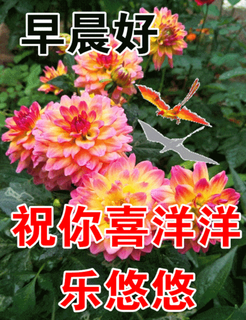 周末送你最漂亮早上好动态表情图片大全早晨好动图美图大全