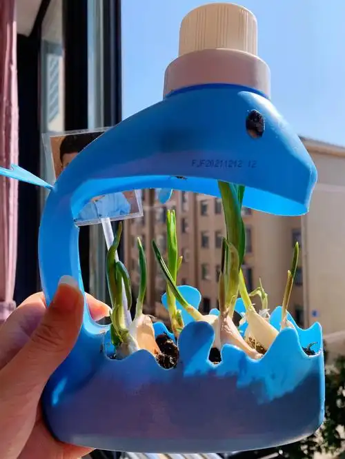 洗衣液瓶子改造