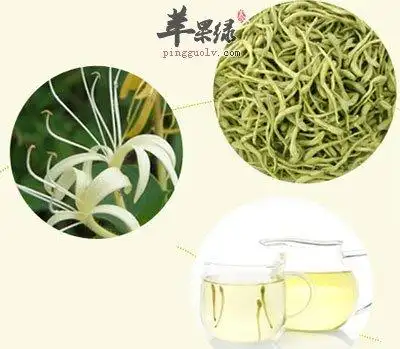 金银花的功效与作用