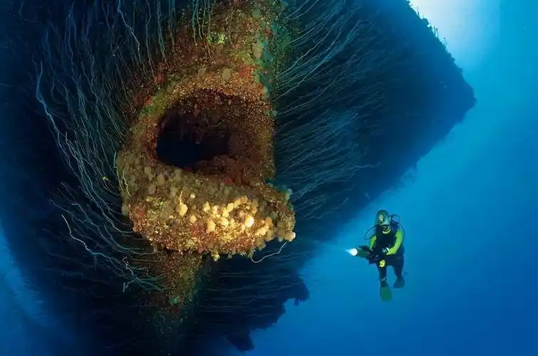 自然科普深海恐惧症来源海底10000米为何如此恐怖