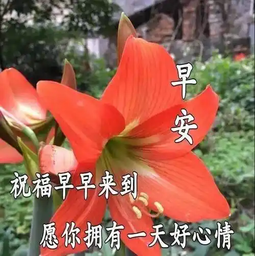 早上好祝福语图片免打字 秋日清晨友谊早安问候语图片_朋友_心情_生活