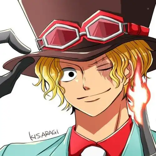 海贼王:火焰萨博