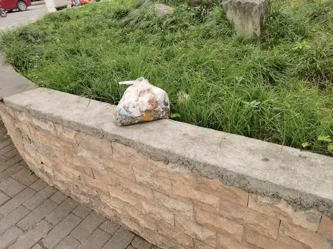 以后希望可以把乱丢乱扔垃圾的都发款