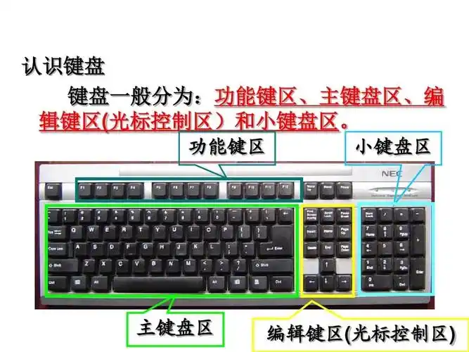 键盘的认识
