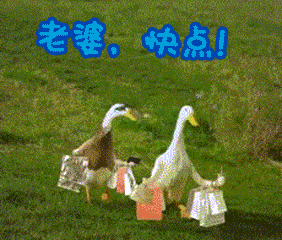 过年了开心图片_过年了开心动态图_过年了开心表情包gif动图下载_soo