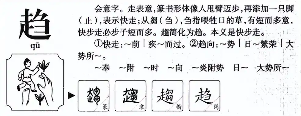 趋的拼音 趋怎么读 - 风集网