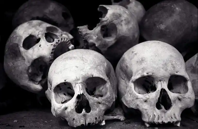 骨骼,无人,横图,黑白,室内,白天,正面,柬埔寨,亚洲,一堆,堆叠,堆积