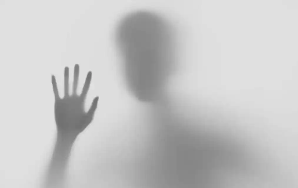 隔阂作文800字初三