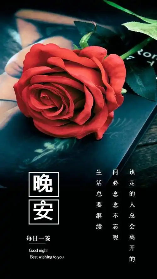 给老婆的体贴暖心的晚安话