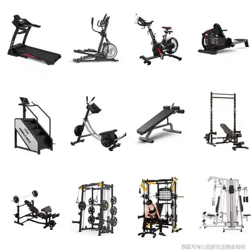 如何打造专业健身房:从器械选择到空间布局_训练_锻炼_系统