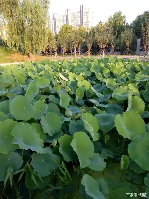 走进生活自然真实照片