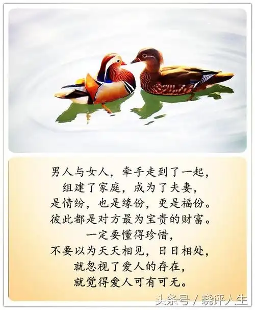 夫是妻的靠山,妻是夫的财富,请好好珍惜这辈子来之不易的缘份!