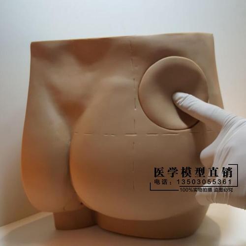 臀部肌肉注射训练模型/ 皮肤护理穿刺扎针培训练习模型注射皮肤