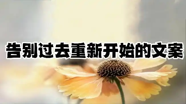 怎样告别过去重新开始