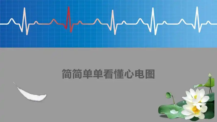 教你看懂心电图ppt课件