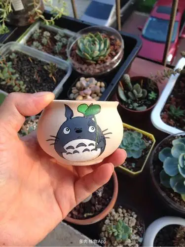 花器与肉 2016-08-03 06:11:50 买了几个素陶的拇指盆,好小,画上只q版