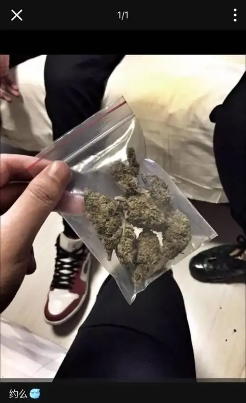 pgone被爆吸毒,露骨暗示李小璐,贾乃亮疯狂找证据:再原谅她4次