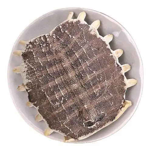 鳖甲中药材店铺鳖甲粉甲鱼壳鳖壳鳖盖子老鳖盖甲鱼壳粉500g包邮