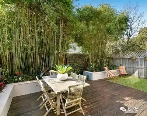 有了院子,一定要种一片翠竹._竹子