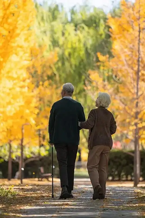 老年夫妇在户外散步的背影图片