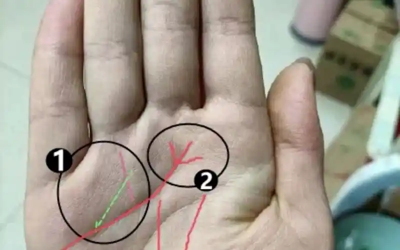 手相有"凤尾纹"的人, 一生福禄多, 至少旺三代!