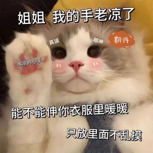 姐姐天冷了,可以给我暖暖吗?#发给对象表情包 #猫咪表情包  - 抖音