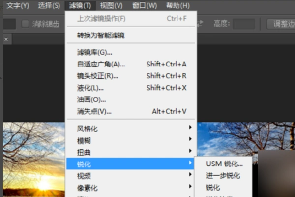 去马赛克的软件 有什么软件能够去除电影中的马赛克