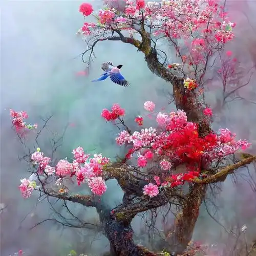 傲雪寒梅头像高清图片