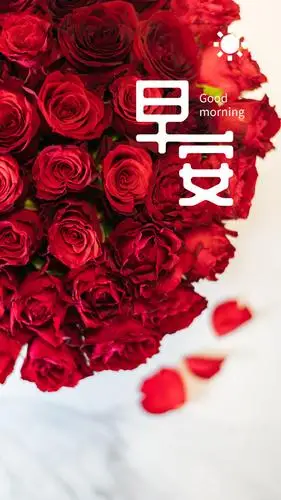 一句早安唤起沉睡的灵魂
