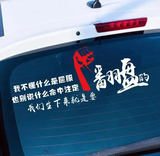 尝尽了酸甜苦辣 凡事都得靠自己 生下来就是要翻盘的 汽车车贴