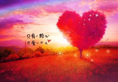 阵阵寒风,挡不住人们赏雪的心情,游人来往如穿梭,年轻人雪地里滚爬