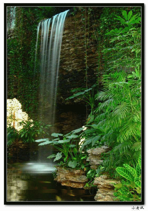 《水波荡漾》动态风景