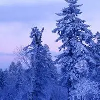 东北经典的冰雪美景图片头像