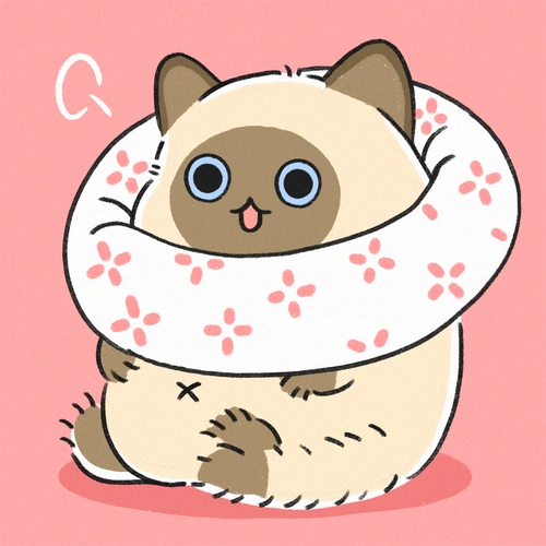 卡通可爱手绘暹罗猫咪一男一女头像图片