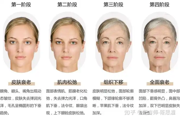 衰老的四个阶段
